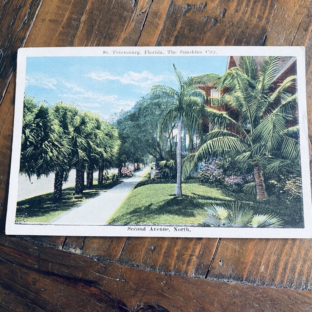 1920s Vintage Postcard Scenic View Palms Second Avenue St Petersburg Florida FL